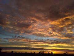 IMG_20240615_211220148.jpg