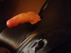 IMG_20241005_031801.jpg