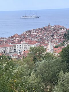 IMG_3515.jpeg
