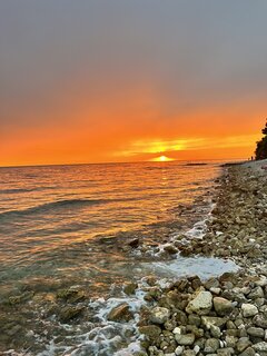 IMG_3536.jpeg