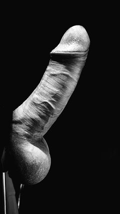 IMG_7827.jpeg
