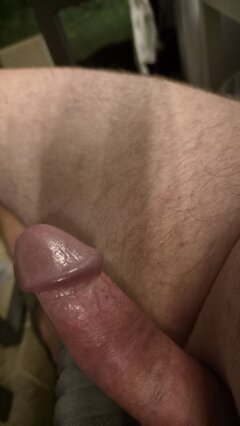 4599.jpg