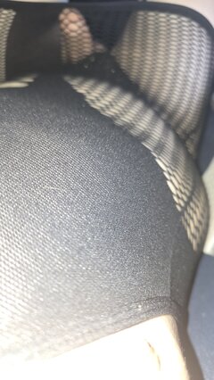 1000048975.jpg