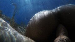G0210385_1535438197936_high-01.jpeg