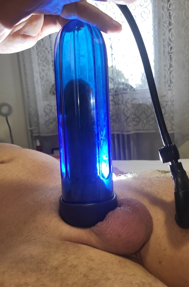 Figowylistek