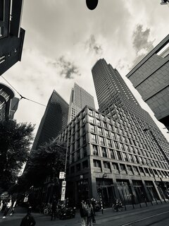 IMG_2456.jpeg