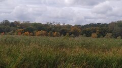 IMG_20261011_135011.jpg