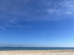 IMG_0618.jpeg