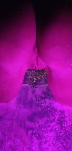 20230731_230952 (1).jpg