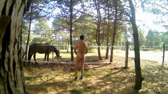 przy koniach 20260920_1123.mp4_snapshot_01.5