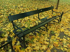 DSCF0956.JPG