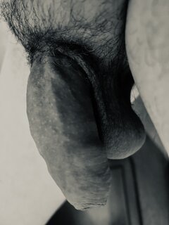 IMG_2707.jpeg