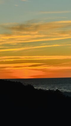 IMG_6860.jpeg