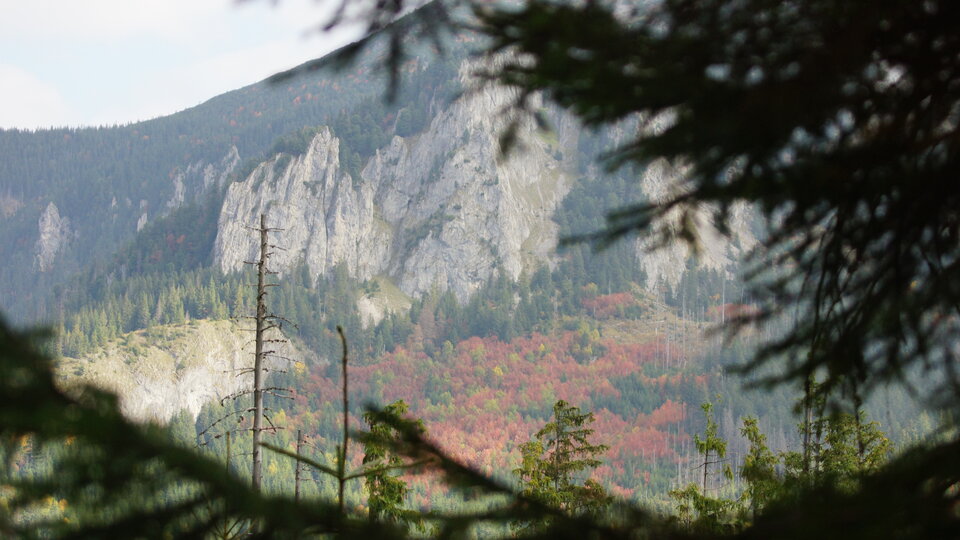 DSC03459.JPG - morgaz69
