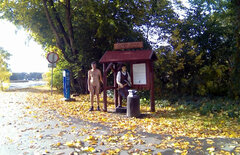 ZIELONA - 20261009_1001.mp4_snapshot_01.19_[2026.10.09_16.23.43]