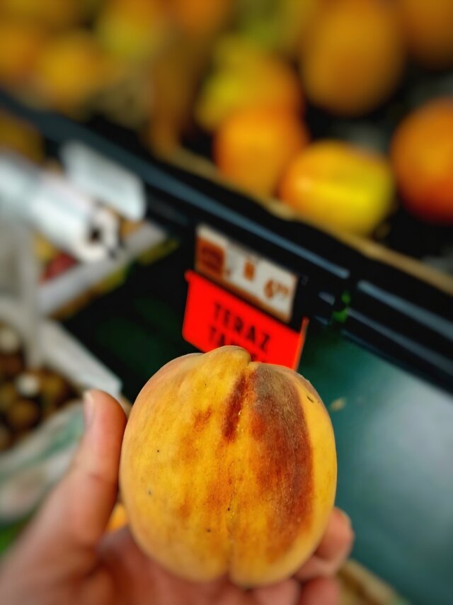 Dupiasta_Pizda