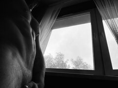 IMG_2946.jpeg