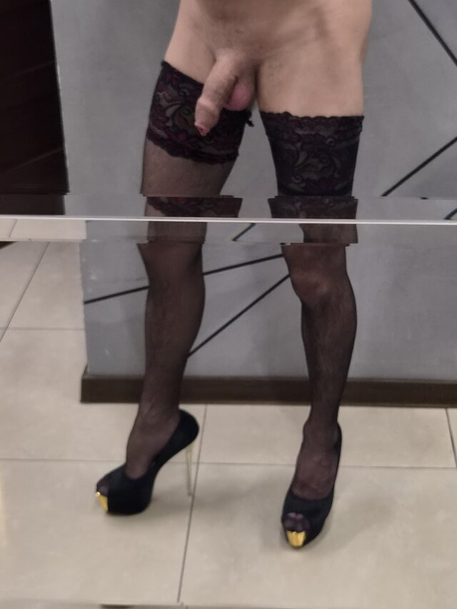 TransKasia24