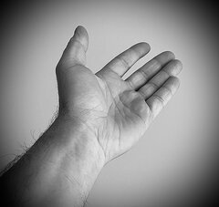 IMG_5999.jpeg