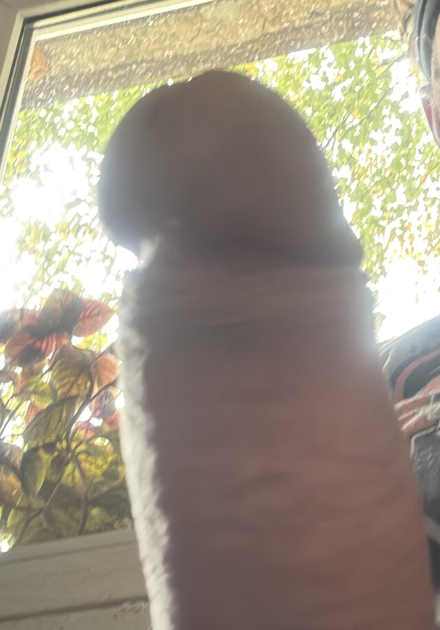 koledzystrz