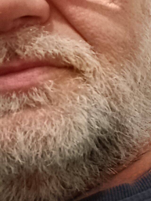 jareckii