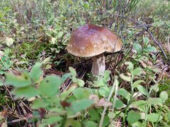 20261011_115202.jpeg