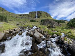 IMG_5286.jpeg