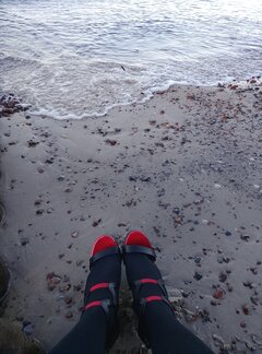 440.jpg