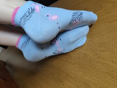 IMG_20261017_084515.jpg