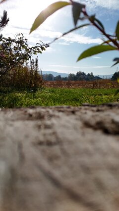 dji_fly_20261017_100736_0237_1792224444800_photo.jpeg