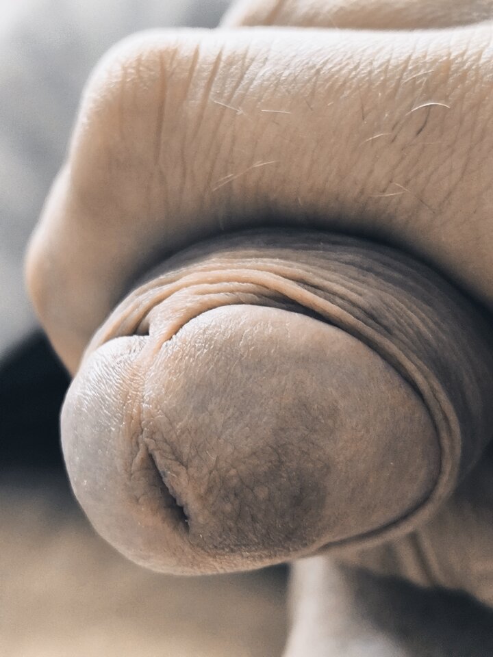 1000013498.jpg - SmallWetDick