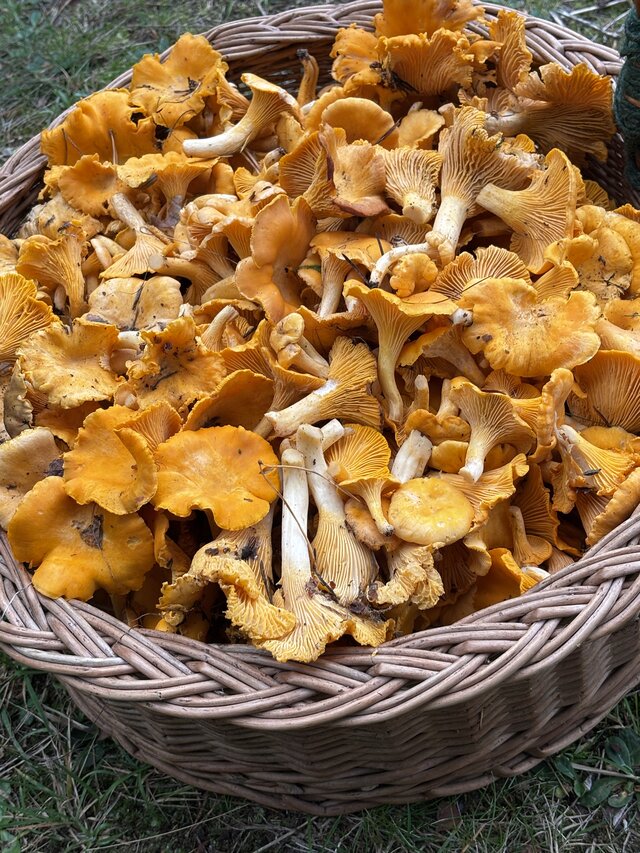 NaturystaXXX