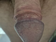 12108.jpg