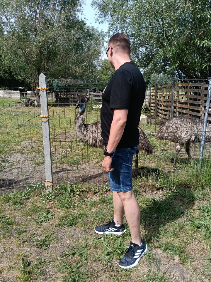 1000038543.jpg - Gregor071