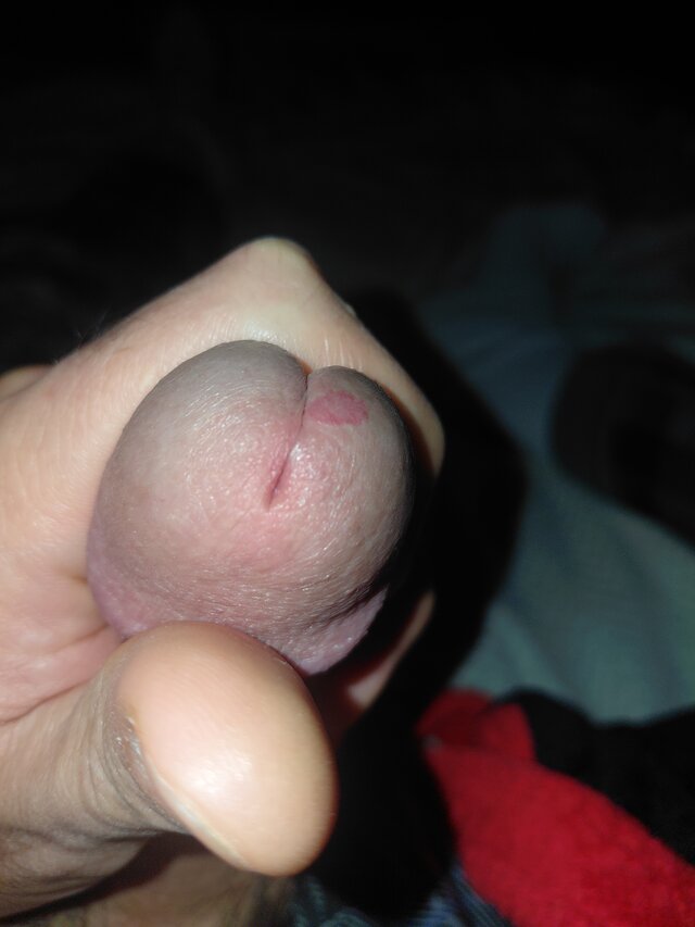 Zhorik
