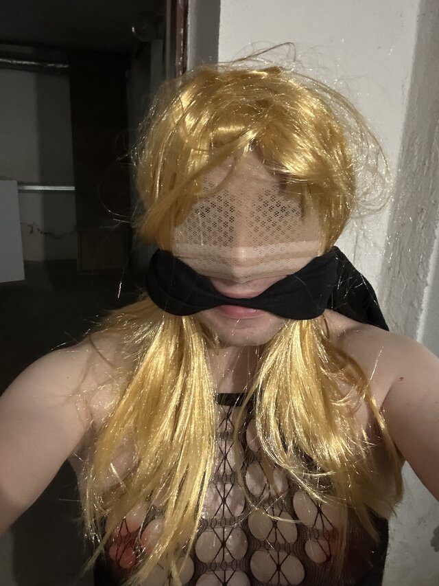 Transpaulinka37