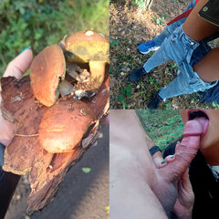 🌲🌳🍄‍🟫