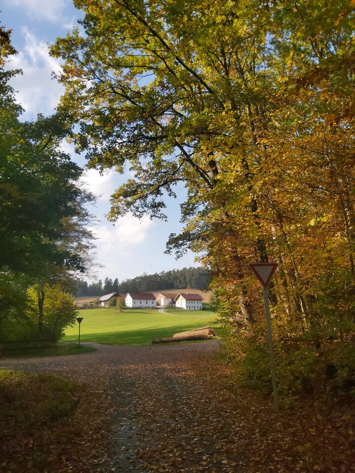 20261018_152001.jpg - Mallwinaaa