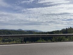 IMG_9264.jpeg