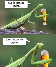 Panowie żyją krócej .jpg