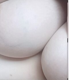 IMG_0809.jpeg