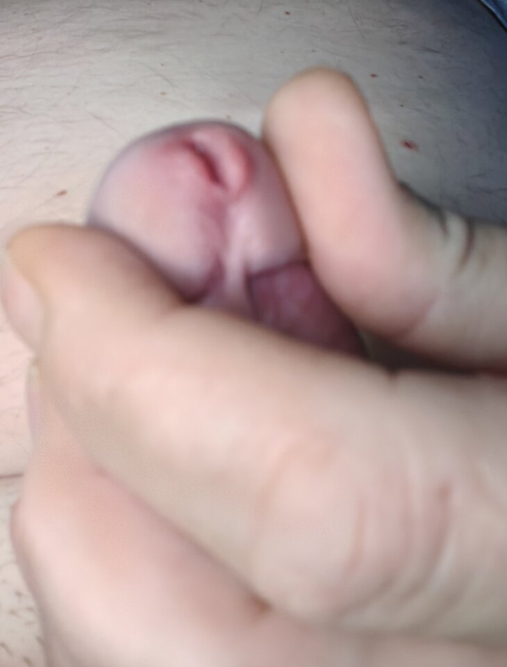 1000013380.jpg - Leonardo2301
