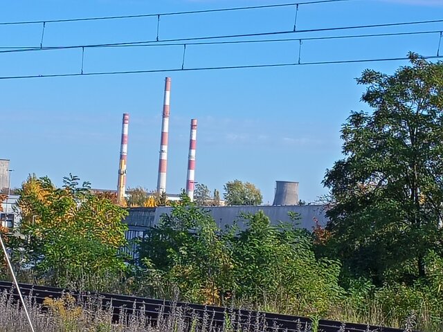 grujdzi1