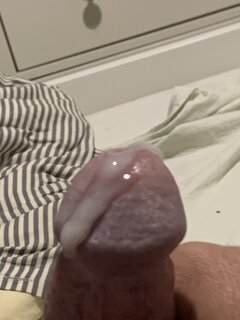 IMG_2351.jpeg