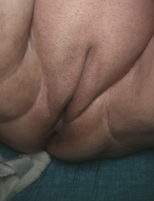 Shibal