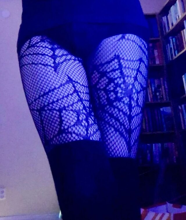 Lila_polyk