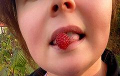 IMG_8302.jpeg