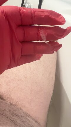 IMG_2093.jpeg