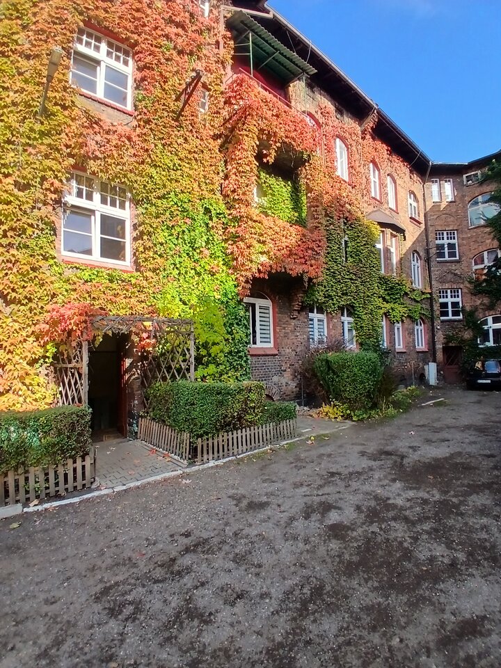 1000060348.jpg - Tajemnicza333