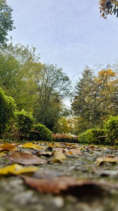 IMG_7021.jpeg